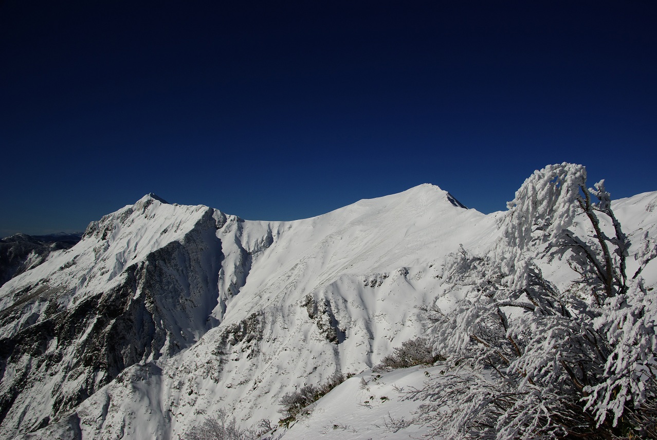 b0062024_2013185.jpg