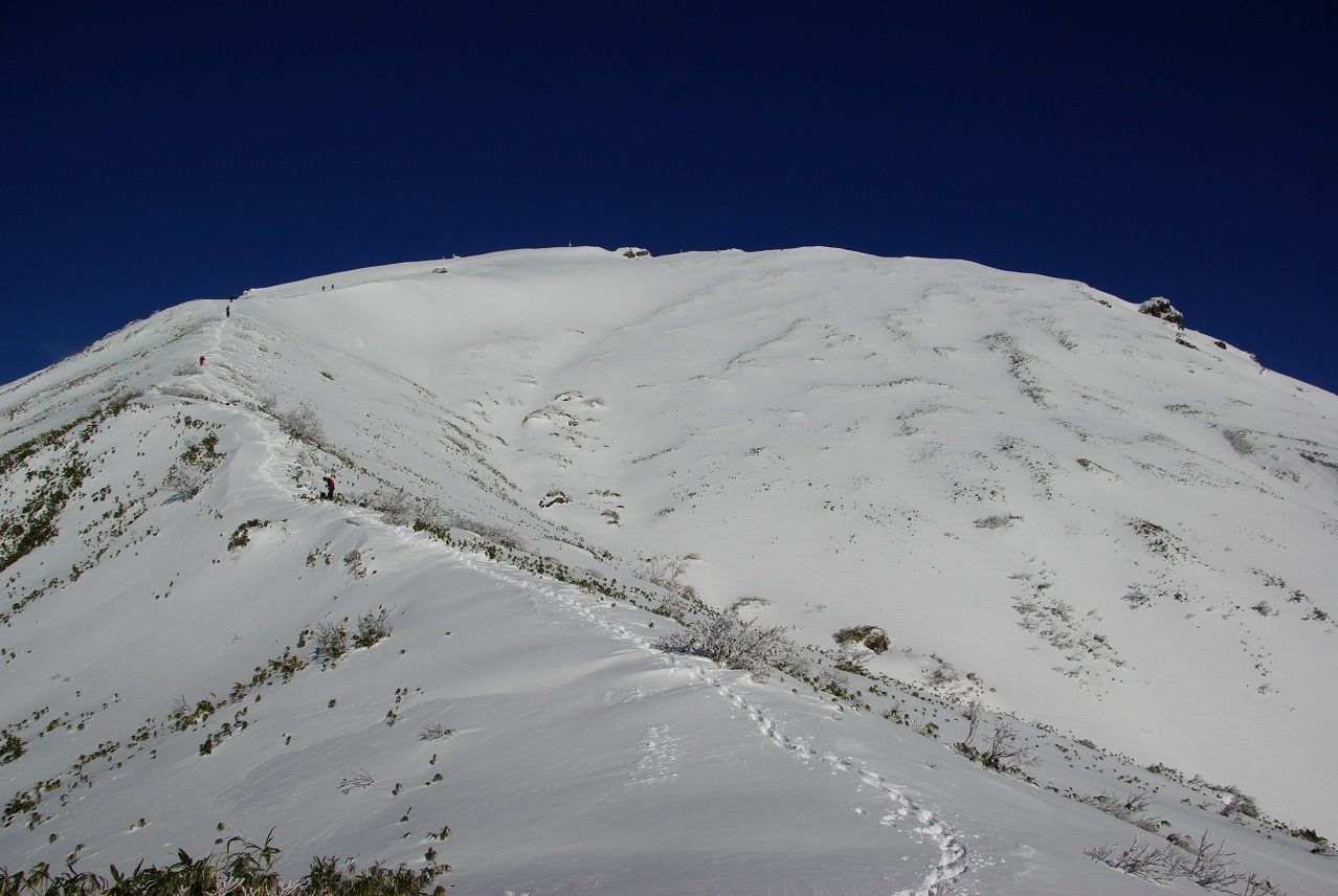 b0062024_2023339.jpg
