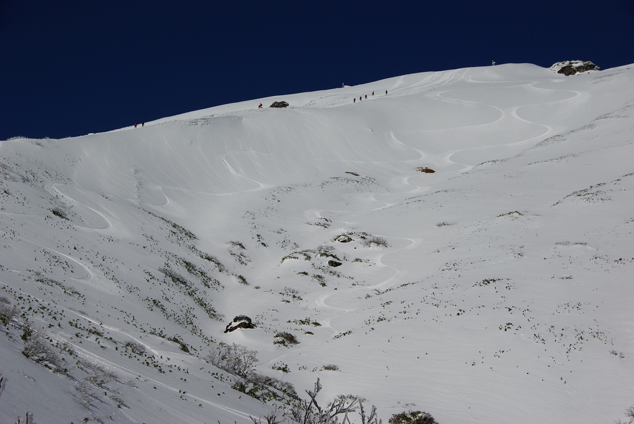 b0062024_2063639.jpg