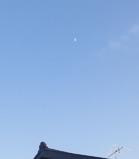 b0199924_832511.jpg