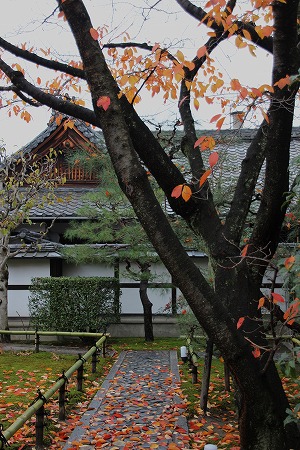 f0054428_0512176.jpg