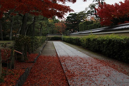 f0054428_0545381.jpg
