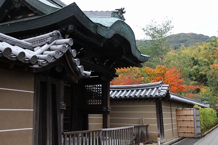 f0054428_245750.jpg