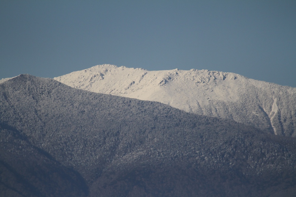 c0111229_17591213.jpg