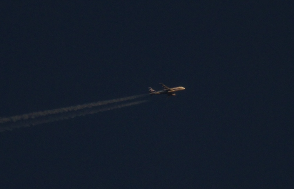 c0111229_17594853.jpg