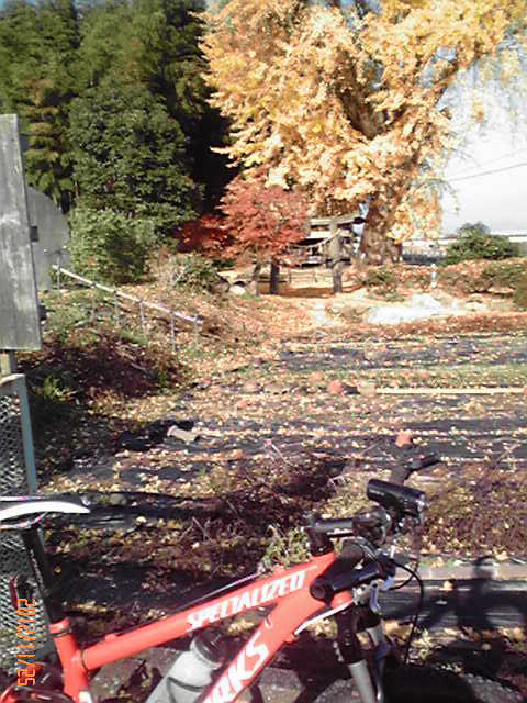 b0222530_1720645.jpg
