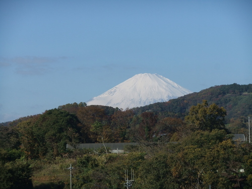 b0137932_174483.jpg