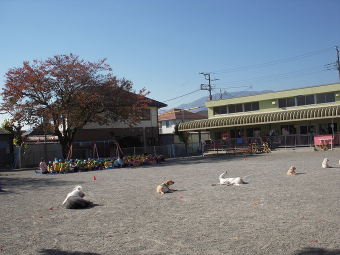 c0114833_15364066.jpg