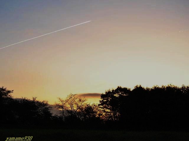 c0225536_23232615.jpg
