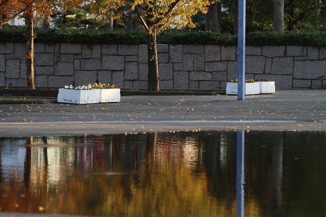 a0242438_19382370.jpg