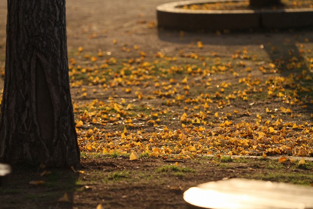 a0242438_19393068.jpg