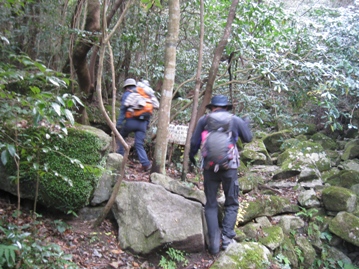 c0077338_19152220.jpg