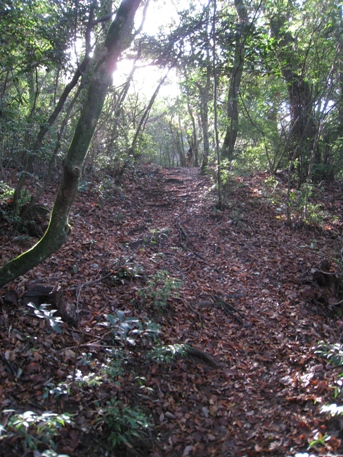 c0077338_191539100.jpg