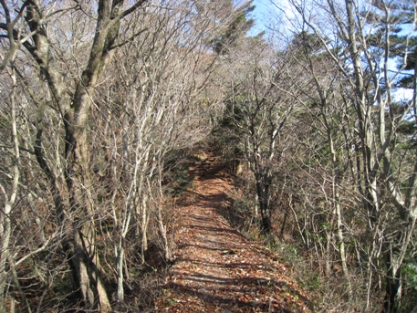 c0077338_19155422.jpg
