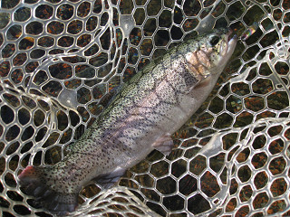 f0065341_1354084.jpg