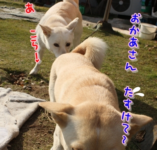f0195543_12401871.jpg