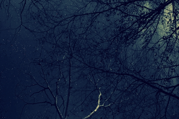c0228945_20321973.jpg