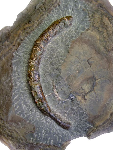 e0290546_19182418.jpg