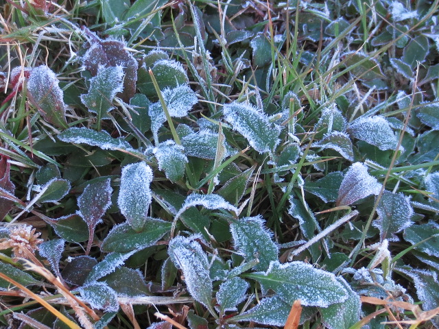 b0097747_171272.jpg