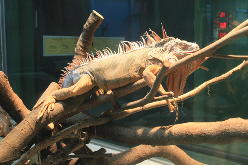 a0004752_2010789.jpg