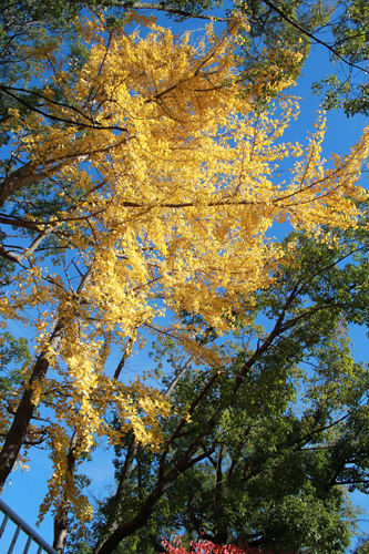 a0004752_20134270.jpg