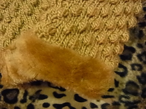 a0159652_22105951.jpg