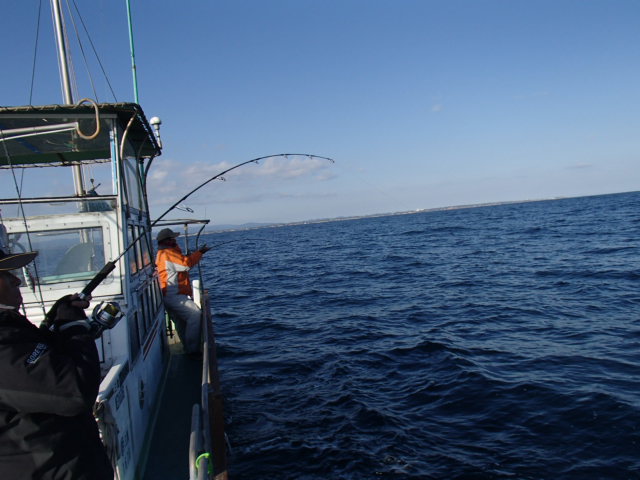 a0248152_1832212.jpg
