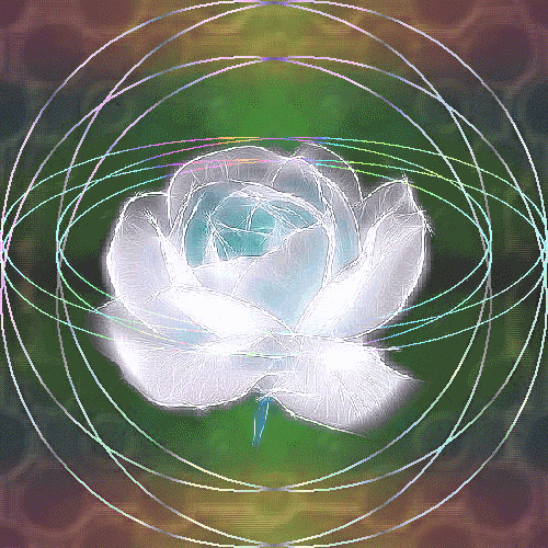 b0133752_16174364.gif