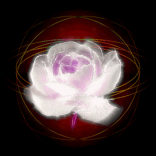 b0133752_16193217.gif