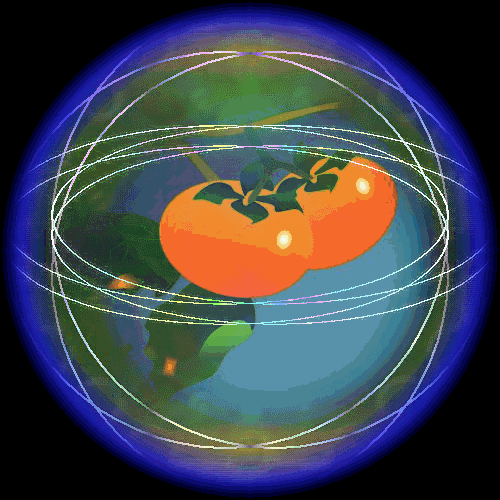 b0133752_18393614.gif