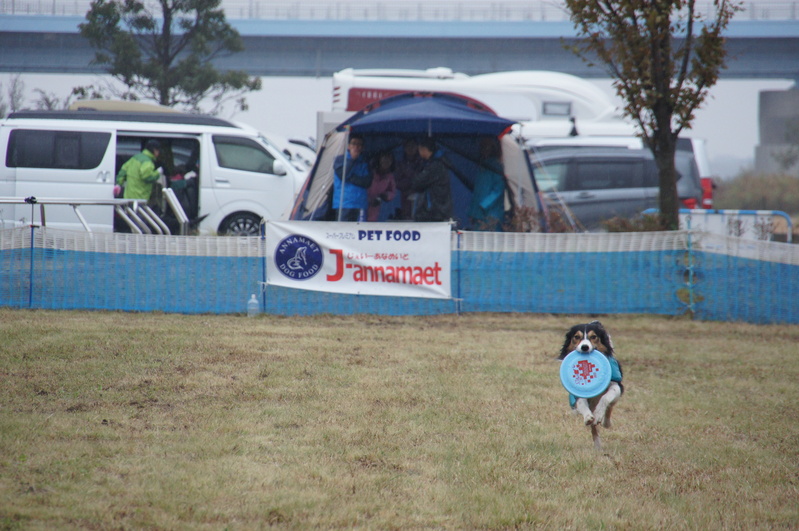 e0285154_15441374.jpg