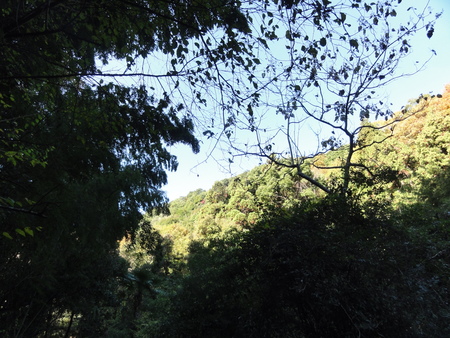c0108460_16482921.jpg