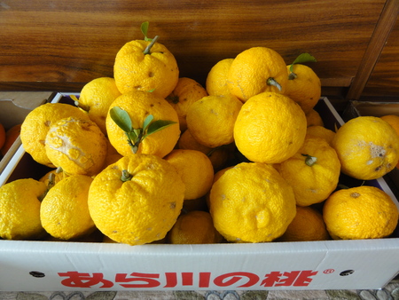 c0108460_16493480.jpg