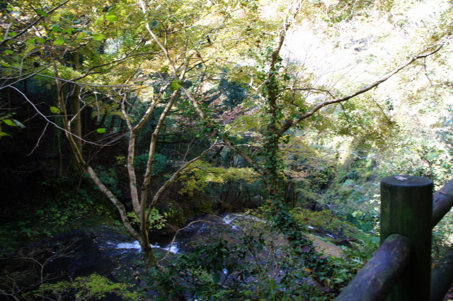 e0223965_21582667.jpg
