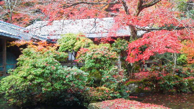 c0018666_20155187.jpg