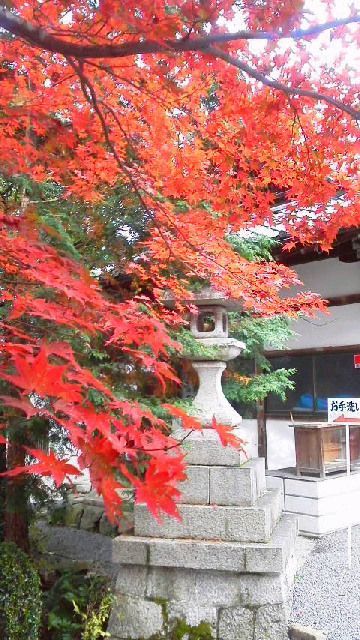 c0018666_20262873.jpg