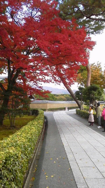 c0018666_21262923.jpg