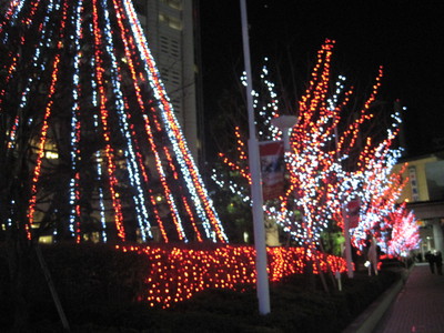 c0072068_1472062.jpg
