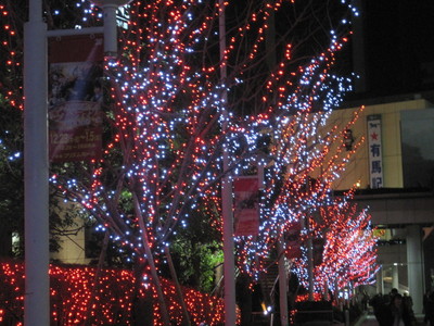 c0072068_1472646.jpg