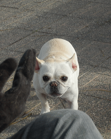 d0152869_2255470.gif