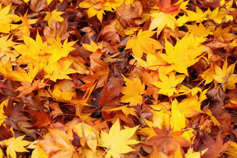 a0042970_14142351.jpg