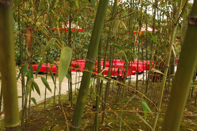 a0042970_14182238.jpg