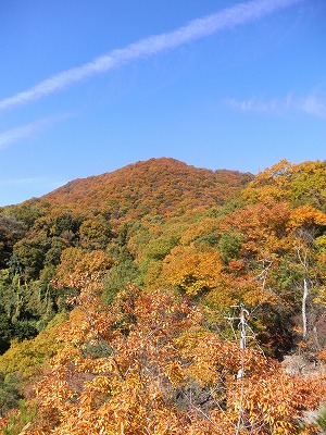 f0057070_20314155.jpg