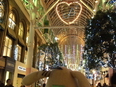 c0158573_11114371.jpg