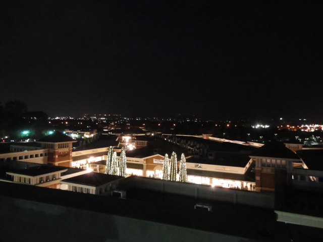 d0109373_15929.jpg