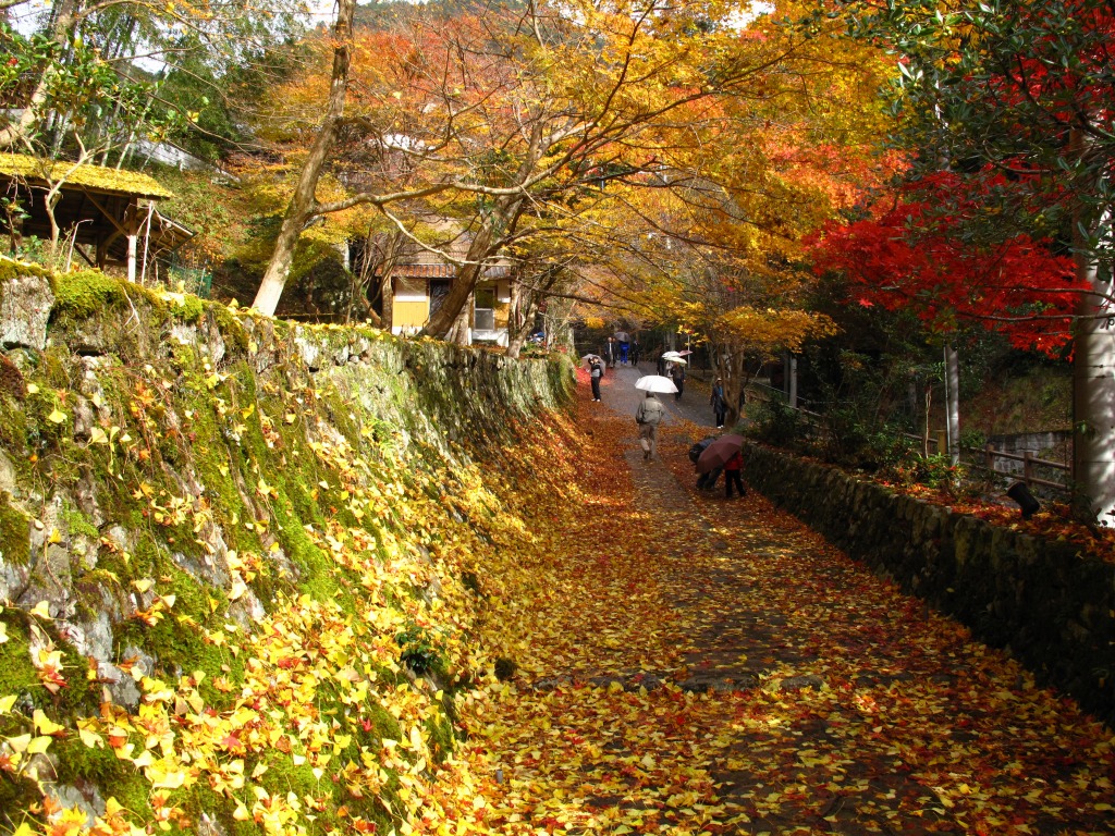 a0004180_19423273.jpg
