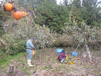 f0003283_9262210.jpg