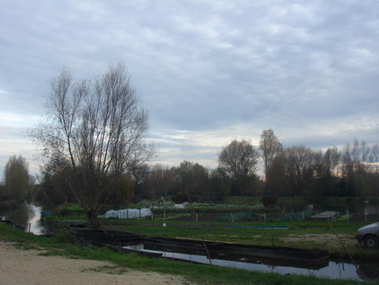 a0247585_5545046.jpg