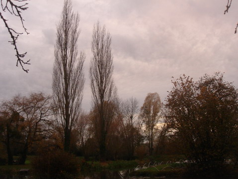 a0247585_654019.jpg