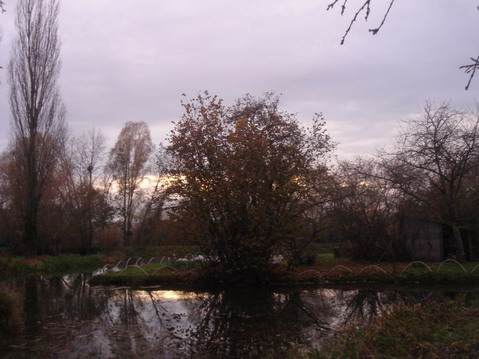 a0247585_661418.jpg